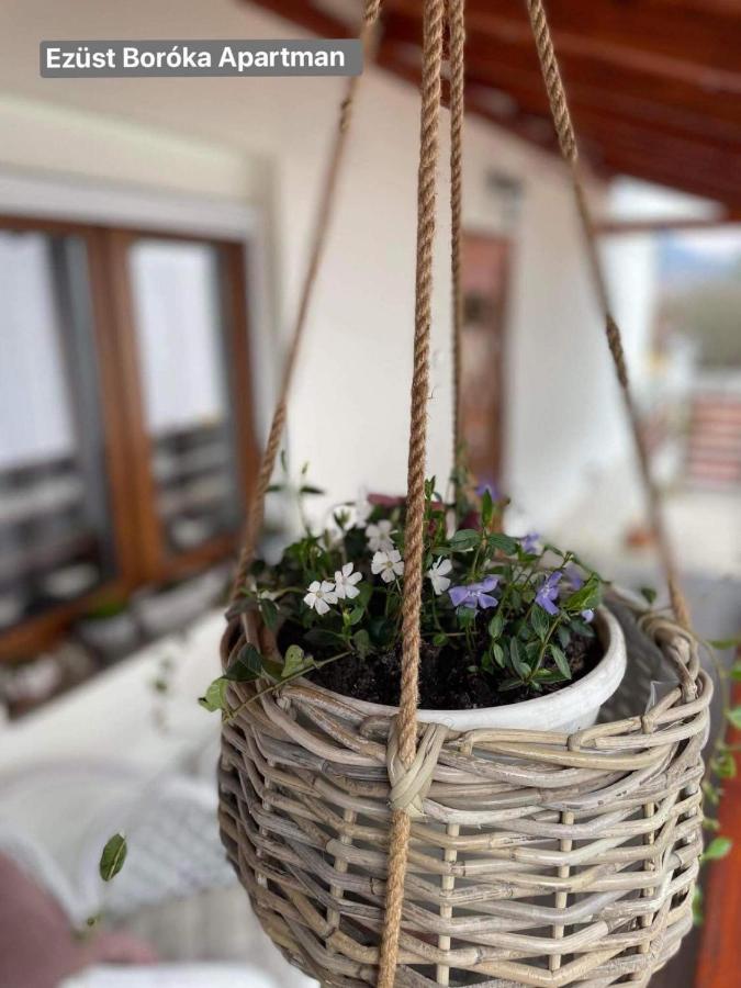 Ezuest Boroka Apartman Eger Exteriör bild